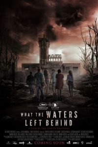 Что воды оставили позади (2017) Что воды оставили позади (2017)
