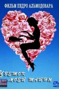 ������ ���� ����� (1995)