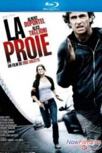 ������ (2011)