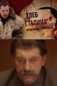 ���� ��� �������. ������� ������������� (2012)