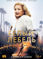 ����� ������ (2019)