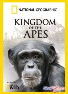 Королевство обезьян: Брат на брата (2014)