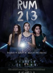  213 (2017)