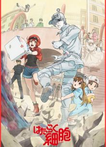 Клетки за работой! / Работа клеток (1-2 Сезон)