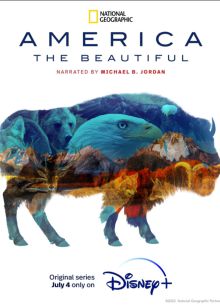 Прекрасная Америка (2022)