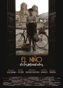 Мальчик на побегушках  (2021)