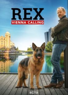 �������� ����: ���������� (2026)