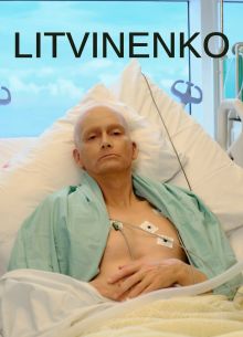 Литвиненко (2022)
