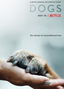  (2018)