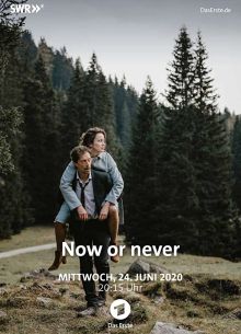 Сейчас или никогда (2019)