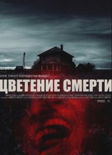 �������� ������ (2025)