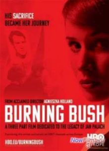 ���������� ������ (2013)