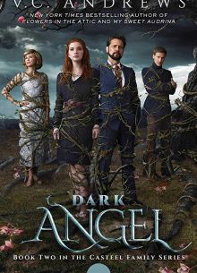 Тёмный ангел (2019)