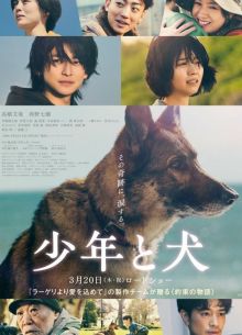 ������� � ������ (2025)