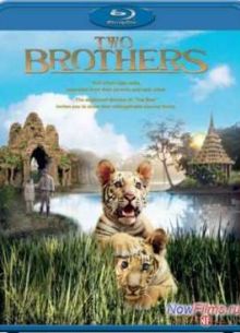 Два брата (2004)