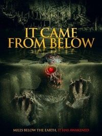    (2021)