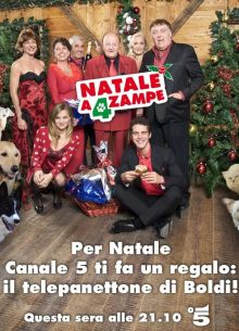 Пять звезд для собак (2012)