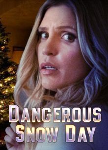 Опасный зимний день (2021)