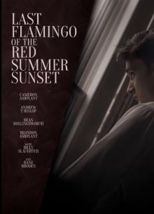 Последний фламинго красного летнего заката (2024)