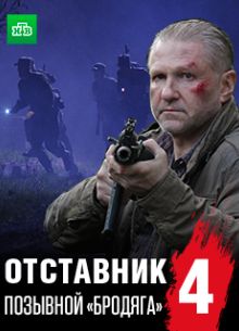 Отставник. Позывной «бродяга» (2017)