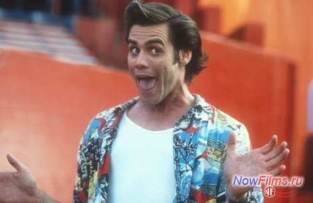 Известный комик Джим Керри будет играть в новой комедии «Рики Станицки Известный комик Джим Керри будет играть в новой комедии «Рики Станицки