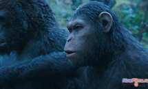 Чем порадует «Планета обезьян: Революция». Чем порадует «Планета обезьян: Революция».