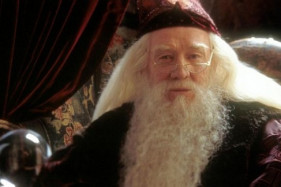 Джуд Лоу исполнит Дамблдора в сиквеле «Фантастические твари и где они обитают» Джуд Лоу исполнит Дамблдора в сиквеле «Фантастические твари и где они обитают»