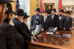 Студии заинтересовались идеей режиссёра «Смерти Сталина» про фильм о Дональде Трампе Студии заинтересовались идеей режиссёра «Смерти Сталина» про фильм о Дональде Трампе