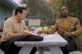 Вигго Мортенсен ответил на критику «Зелёной книги» SJW-активистов Вигго Мортенсен ответил на критику «Зелёной книги» SJW-активистов