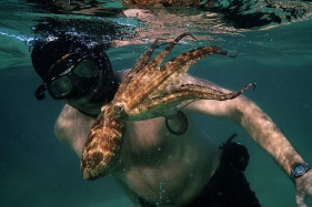 Полный список победителей «Оскар-2021» Полный список победителей «Оскар-2021»