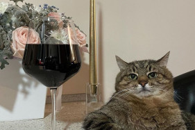 Бритни Спирс закончила фильм о себе Бритни Спирс закончила фильм о себе