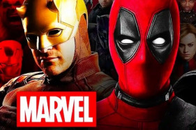       5  MCU